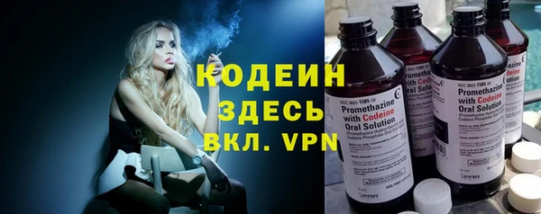 хмурый Гусев