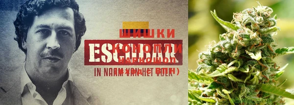 каннабис Горняк