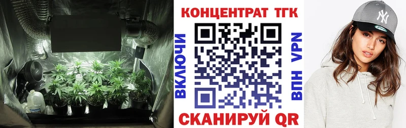 дарк нет наркотические препараты  Заводоуковск  ТГК концентрат 
