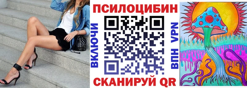 купить наркотик  Заводоуковск  Галлюциногенные грибы прущие грибы 