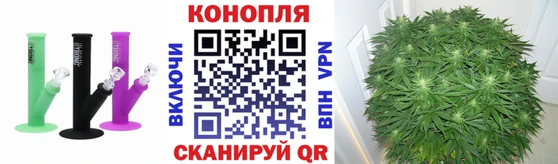 Конопля OG Kush  наркота  Заводоуковск 